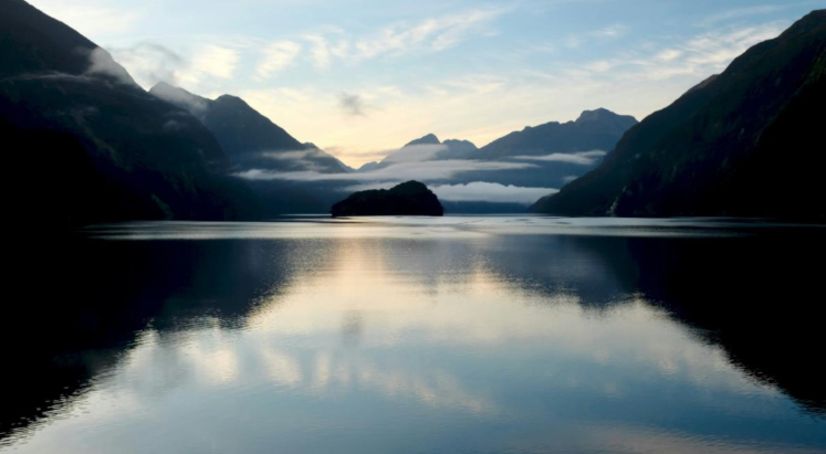 Avant d’agir, soyez immobile.