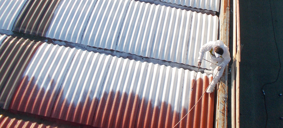 Asbestos Encapsulation