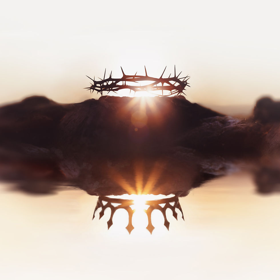 upside-down-kingdom-homepage-images (2).jpg