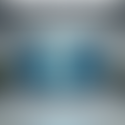 Immersive Virtual Tours: Digital Twin Seattle's Specialty
