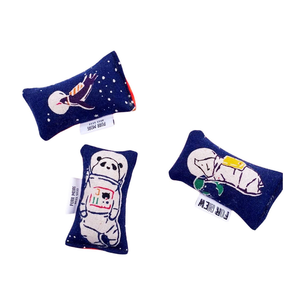 Space Pals Green Bean Set Catnip