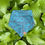 Thumbnail: Pothos Pet Bandana By Char And Whiskers