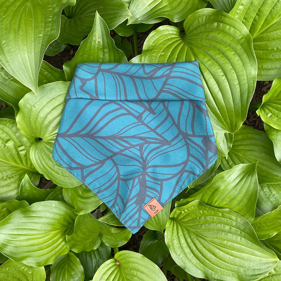 Pothos Pet Bandana By Char And Whiskers