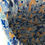 Thumbnail: Blue Cats Storage Pod