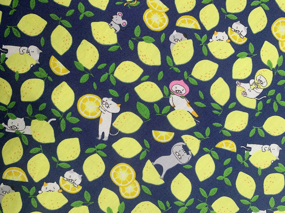 Thumbnail: Lemon Cats Nip Mat