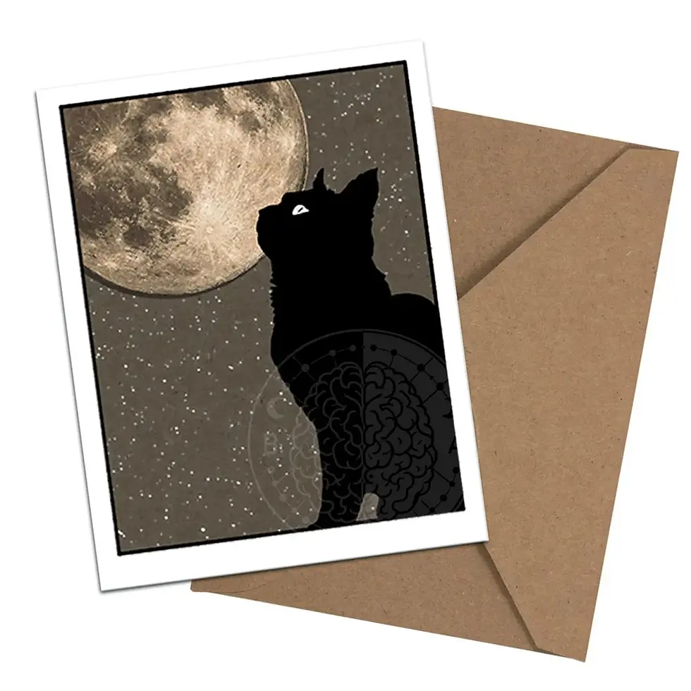 Thumbnail: Feline Familiars Boxed Notecard Set By Brainmeats Atelier