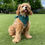 Thumbnail: Pothos Pet Bandana By Char And Whiskers