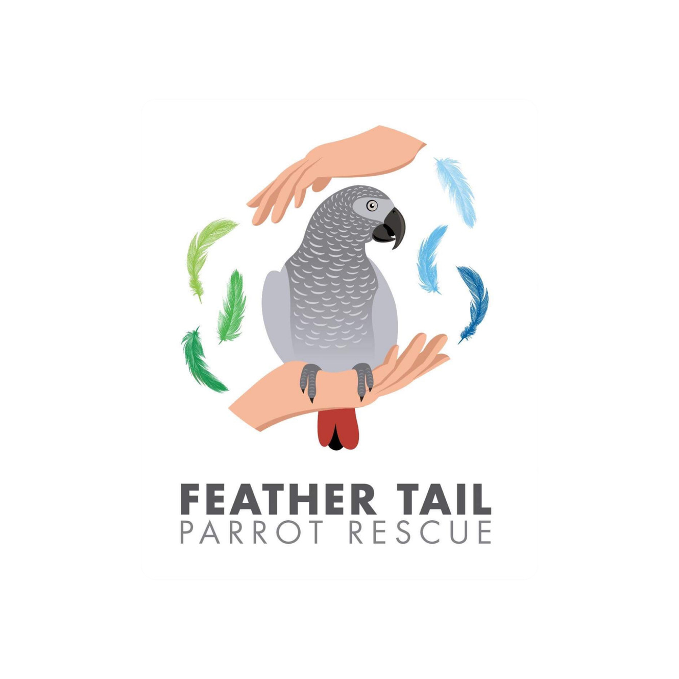 Parrot adoption 2024 near me