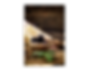 Untitled design (37).png