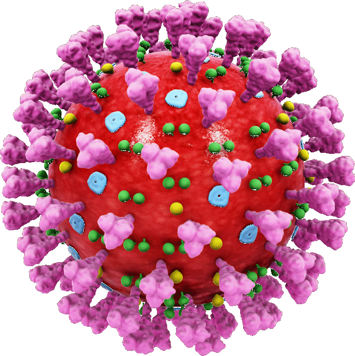 corono-virus-cut.gif