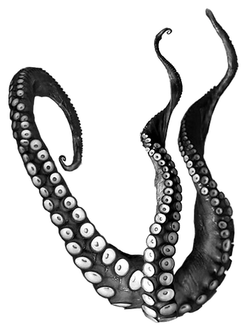 TrujillosCantinaDeSelvaOctopus.png