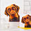 Thumbnail: “Playtime?” Dog Blank Greeting Card
