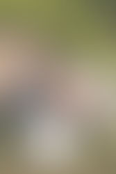 Homestead | Family Session