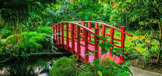 botanic garden miami