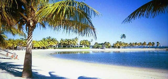 Matheson Hammock Park