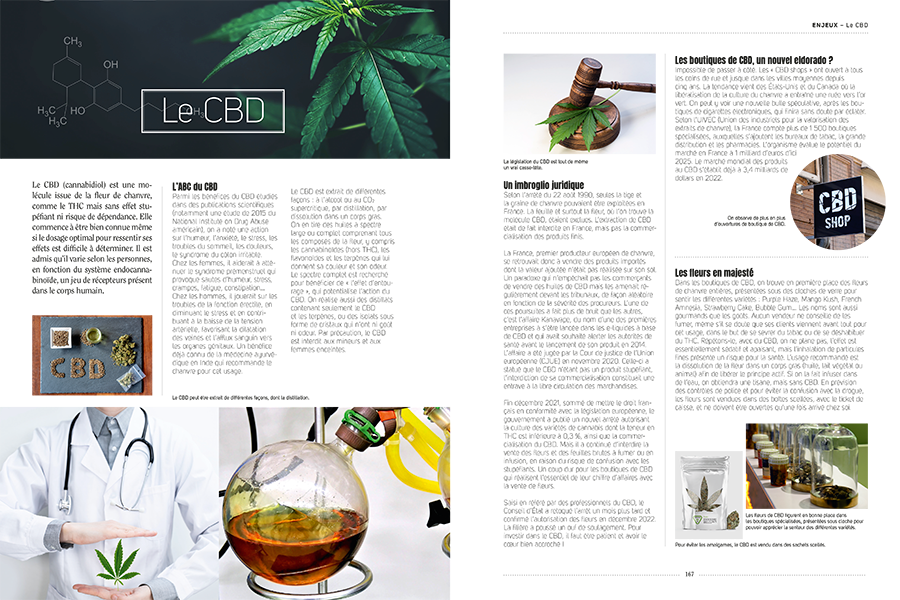 Miniature : Chanvre et cannabis