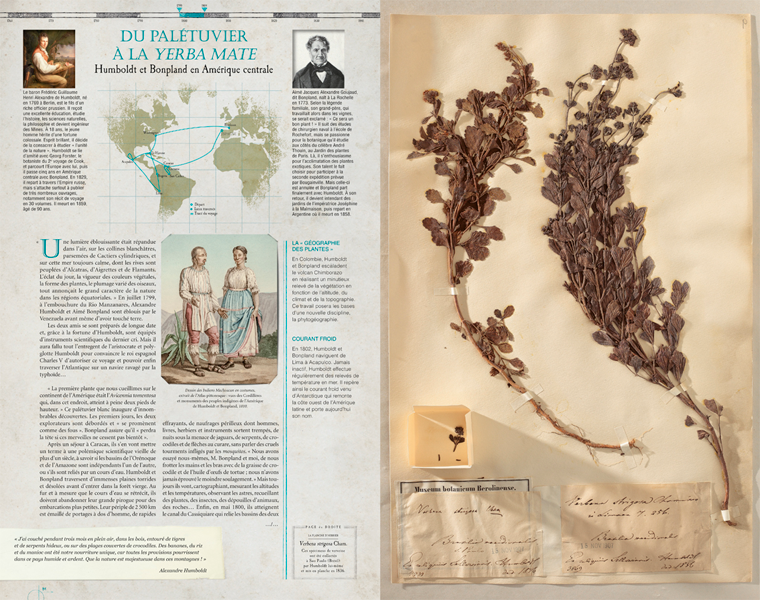 Miniature : L'herbier des explorateurs