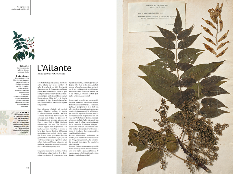 Miniature : L'herbier essentiel