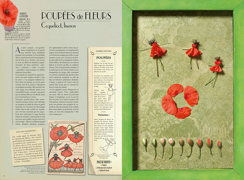 Miniature : Jouets de plantes