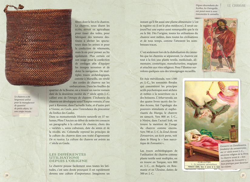 Miniature : Chanvre et cannabis