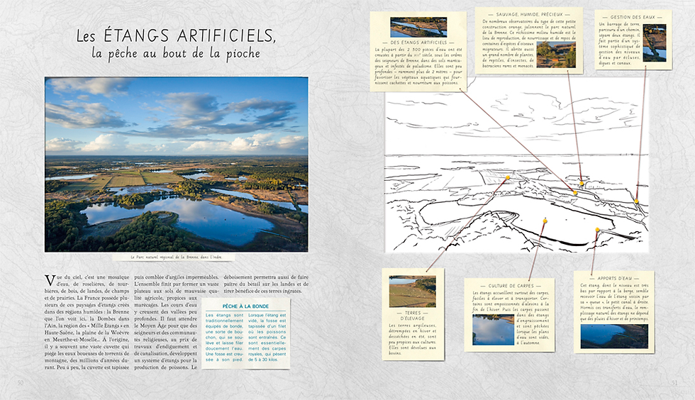 Miniature : Lectures de paysages