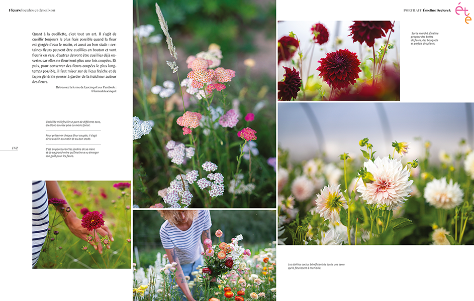 Miniature : Fleurs locales et de saison