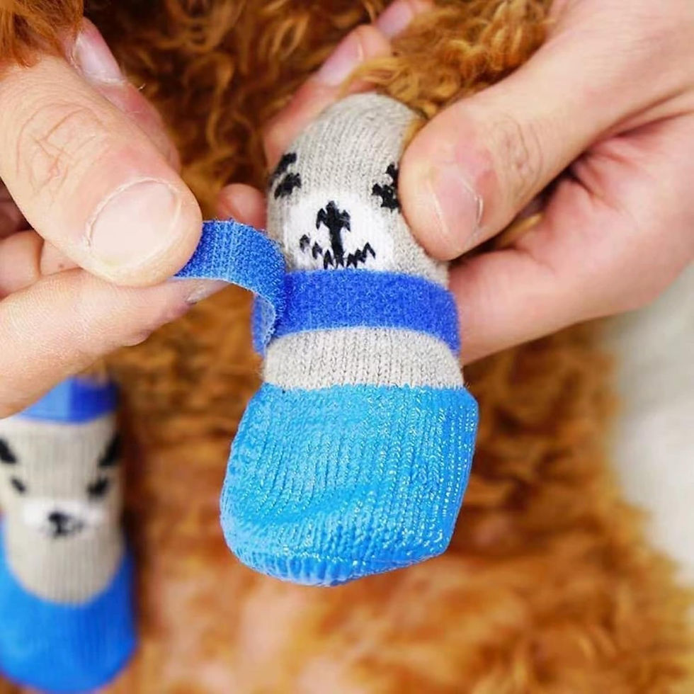 Thumbnail: Pet Dog Shoes Socks Waterproof Cats Dogs Rubber Non-slip Socks, Knitting Warm Ra
