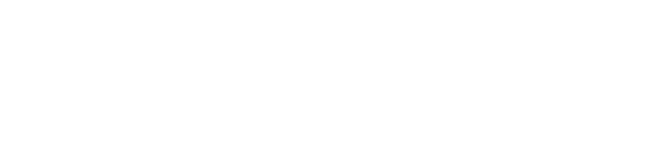 anytronjapan_logo_white.png