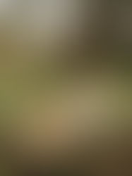 Deux sœurs, mille souvenirs en train de naître. 🌿💛