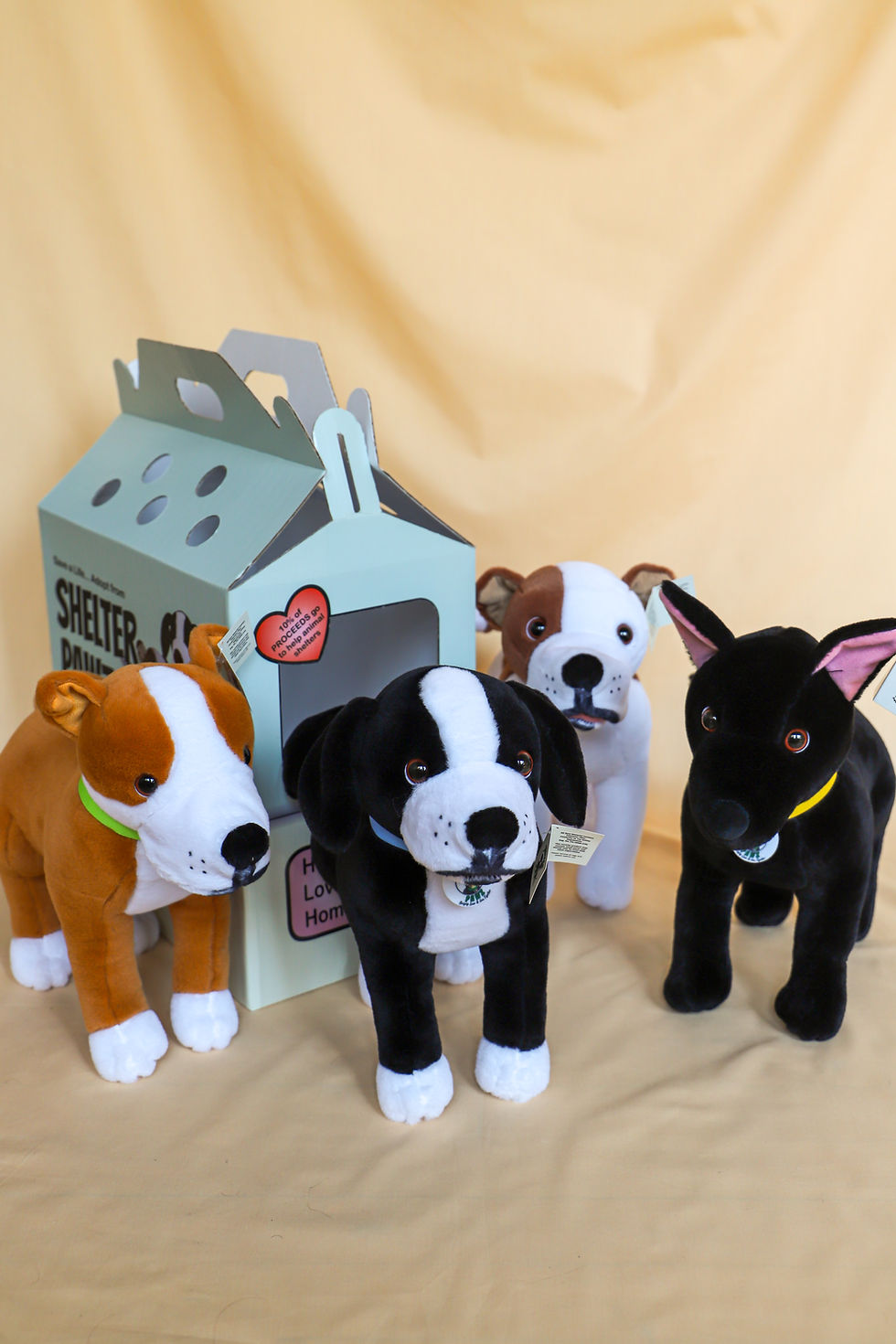 Thumbnail: LUNA the "Loving" Rescue Pup