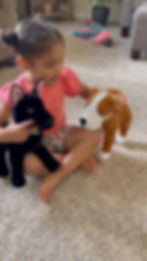 Thumbnail: JUNIOR the "Cuddly" Companion