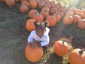 Let's See Those Pumpkins!
