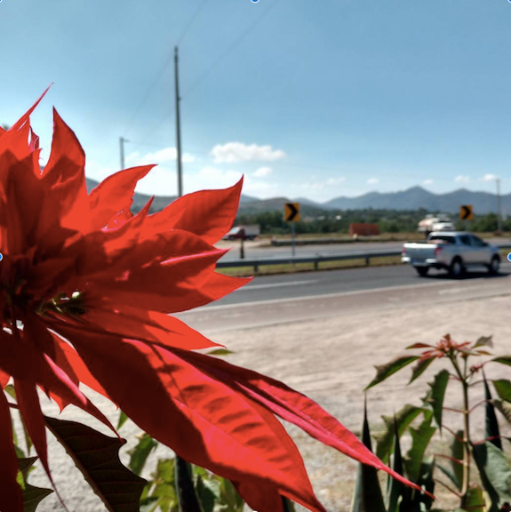 Las problemáticas del transporte de carga en México y la importancia del cambio tecnológico