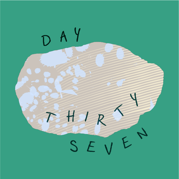 DAY 37