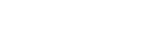 Cleaning Angel Logo