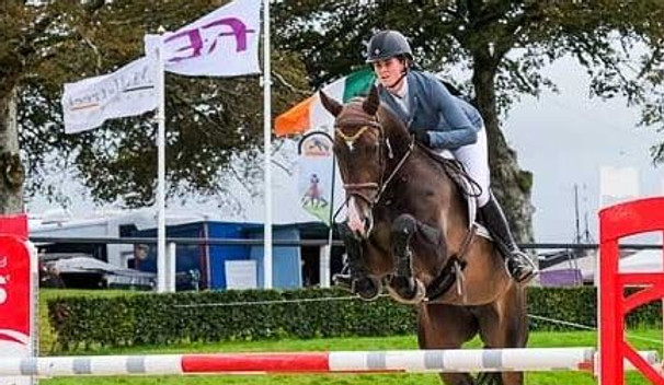 candy horse for sale.jpeg