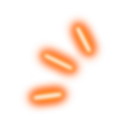 年.png