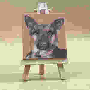 Kimberly Gray Pet Portrait Miniature, Susie Grace.
