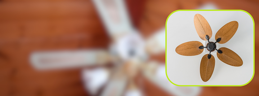 Untitled design (16).png