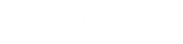 Logo empresa orion capital