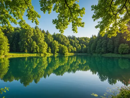 Uncovering the Link Between Psychological Safety and Employee Well-being in the Workplace: Professional Strategies for Cultivating a Safe Work Culture