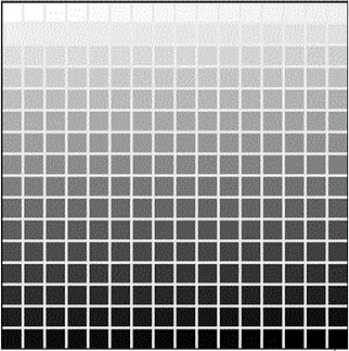 Screenshot 2024-01-10 at 11.53.58 AM.png