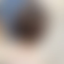 季節感 大人ボブ