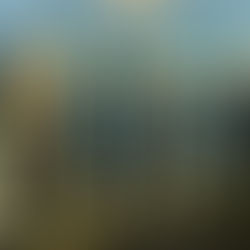 高級シリーズ 美髪必須アイテムがリニューアル