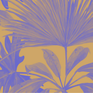 5月3日~5日はお休みします。