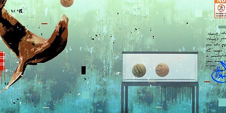 IN THE PAINT
