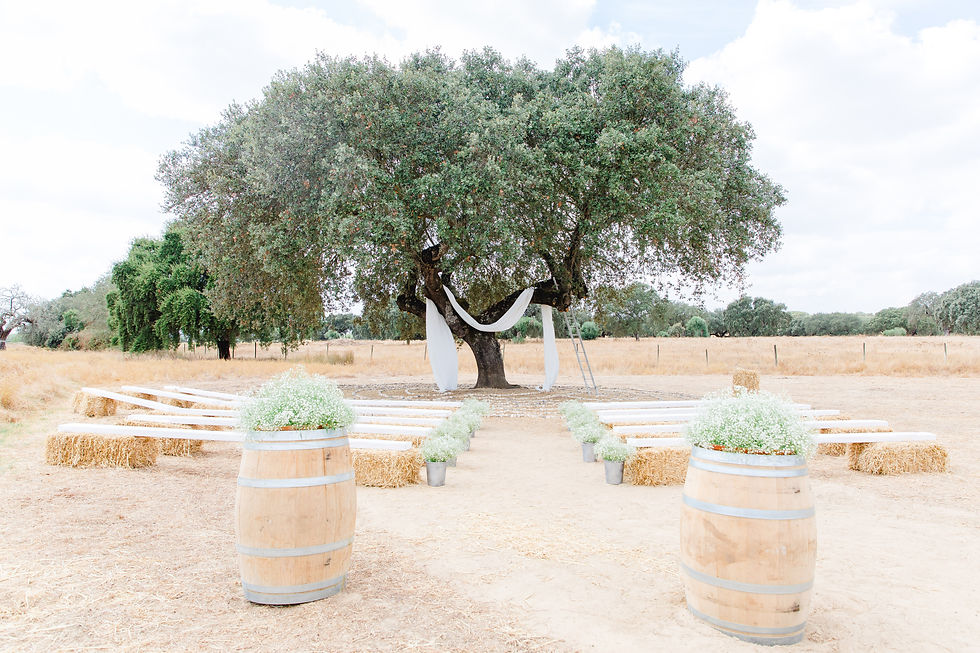 Labyrinth under stone oak tree - Herdade dos Alfanges