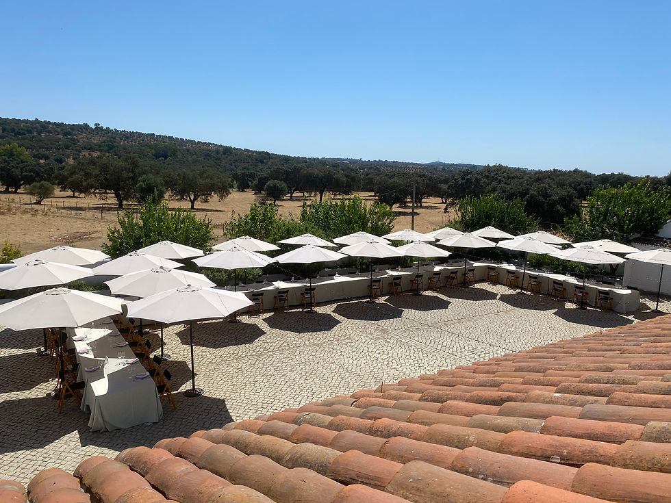 Brunch on the cobblestone patio