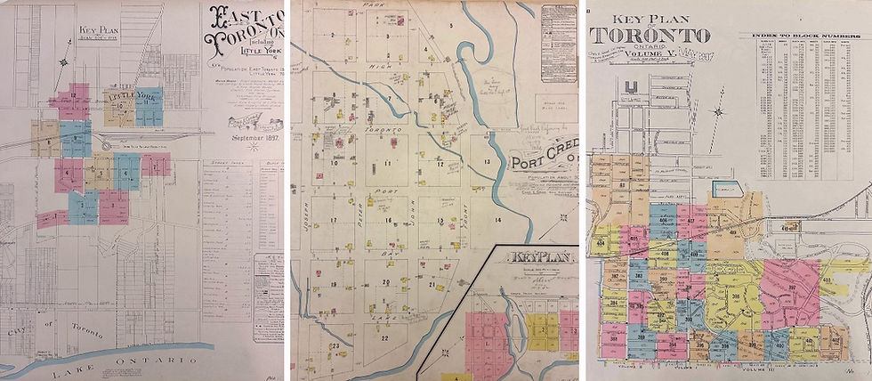 Hogtown Fire Insurance Plan Collection