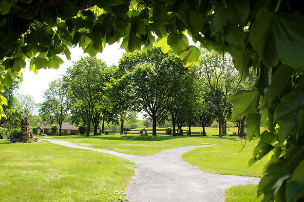 13-Grotto2021.jpg
